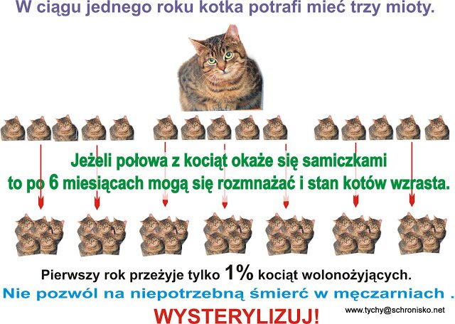 www.kociagromadka.pl